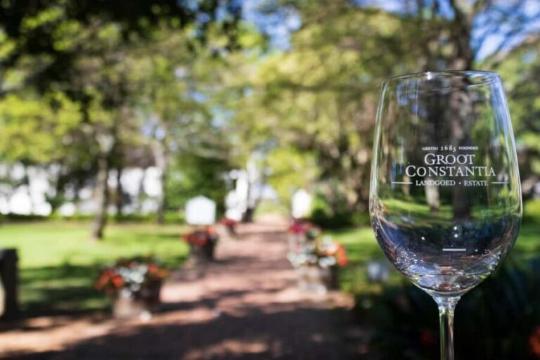 Cape Town: Private Half Day Winelands Tour - Analyzing the Value