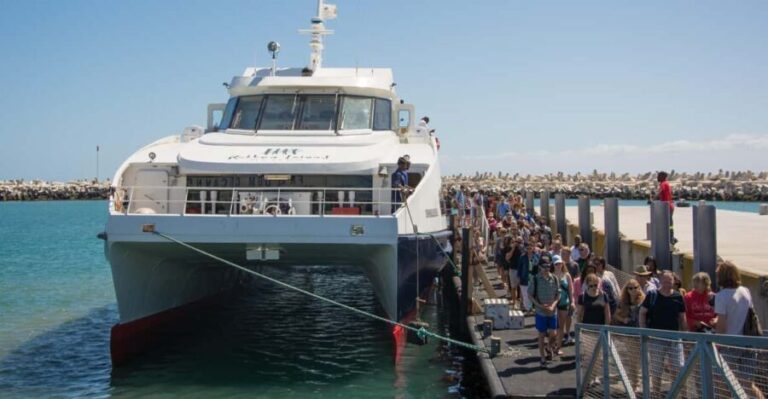 Cape Town: Robben Island Boat Trip & Museum Tour Ticket - Is This Tour Worth It?