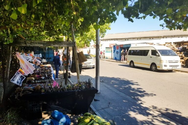 Cape Town: Robben Island Ferry Ticket and Townships Tour - Who Will Love This Tour?