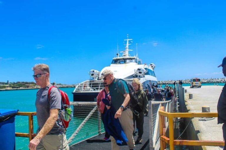 Cape Town: Robben Island plus Table Mountain Tickets - An In-Depth Look at the Tour Experience