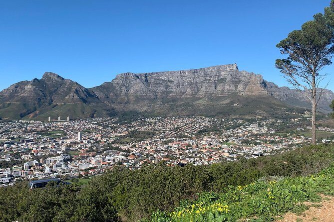 Cape Town Scenic Experience in 2 Days - Who Will Love This Tour?