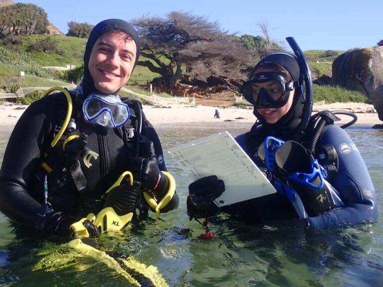 Cape Town: Shark Science SCUBA Diving Experience - Is it Worth the Cost?