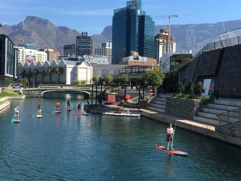 Cape Town: Stand-Up Paddle Board Rental with Basic Training - Key Points