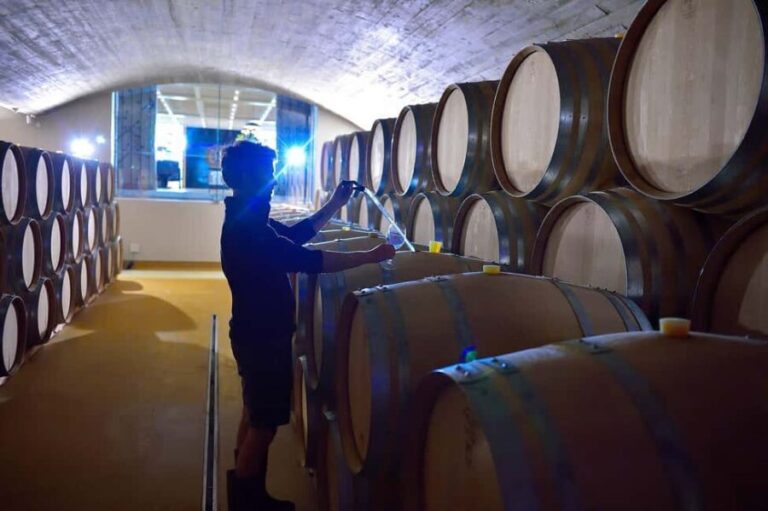 Cape Town: Stellenbosch and Franschhoek Winelands Tour - The Price and Overall Value
