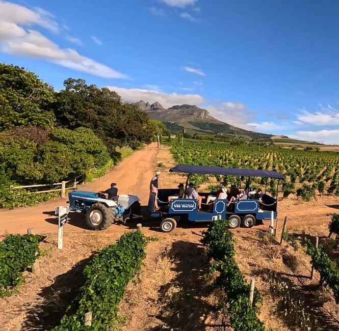 Cape Town: Stellenbosch Hop-On Hop-Off Tractor Wine Tour - The Itinerary: What to Expect at Each Stop