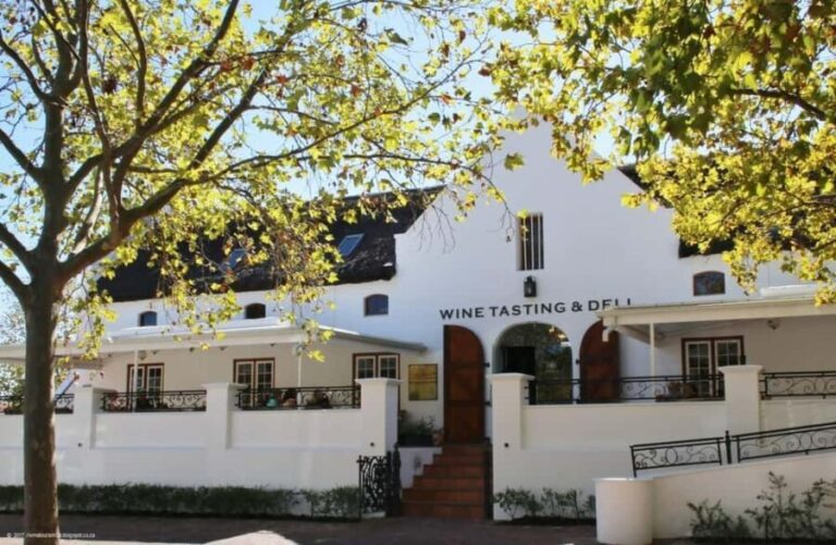 Cape Town: Stellenbosch Winelands Tour with a Queer Lens - Authentic experiences and real reviews