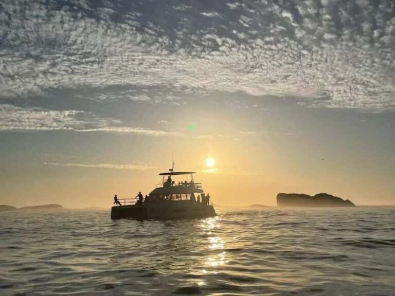 Cape Town: Sunset Champagne Cruise - Why This Cruise Matters for You