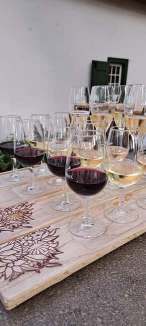 Cape Town : Surfing and Wine Tasting Private Tour - Final Thoughts: Is This Tour for You?