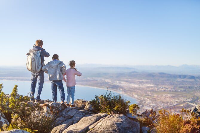 Cape Town Table Mountain Cape Point Penguins Full-Day Private Tour - Who Is This Tour Best For?