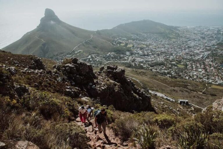 Cape Town: Table Mountain Hike with an Experienced Guide - An Introduction to the Experience