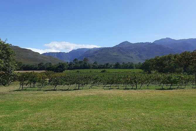 Cape Winelands and Wine Tasting Full Day Tour - Transportation and Practicalities