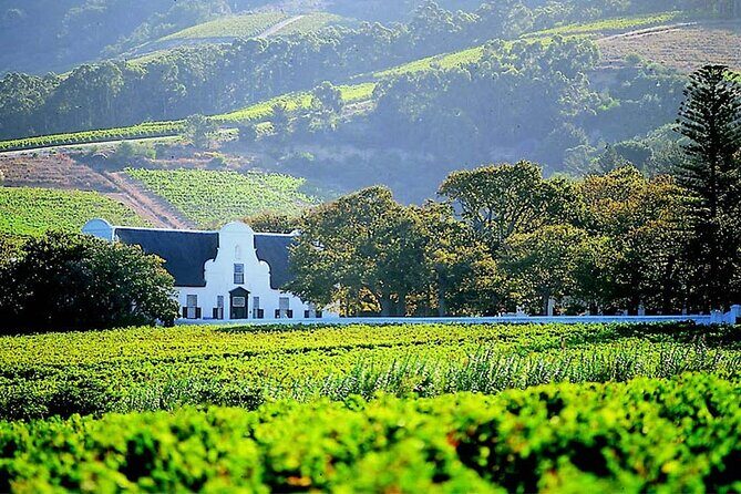 Cape Winelands in Stellenbosch and Franschhoek Private Tour - FAQ