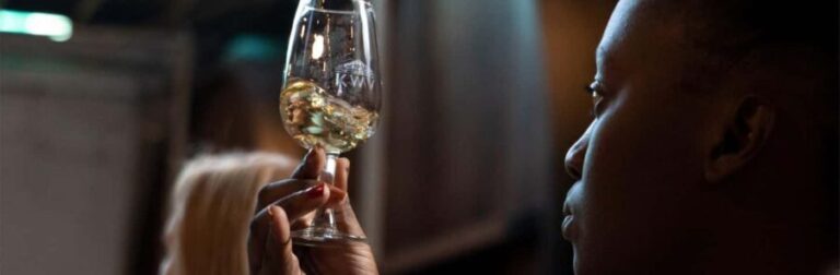Capetown: Brandy & Whiskey Tastings + Distillery Tour - In the Shoes of a Traveler