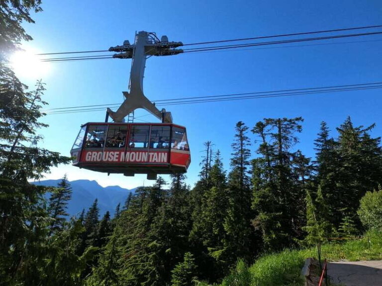 Capilano Br+Granville Isl+Capilano Hatchery+Lynn Canyon Tour - Why This Tour Stands Out
