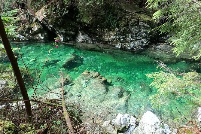 Capilano Suspension Bridge, Lynn Canyon & Capilano Hatchery Tour - Who Will Love This Tour?
