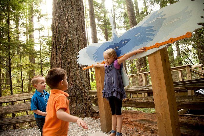 Capilano Suspension Bridge Park Ticket - The Verdict: Is It Worth It?
