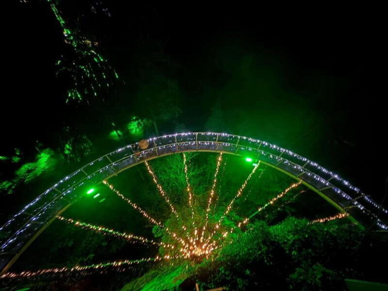 Capilano Suspension Bridge/Private/Small Group/By LUX CAR - Cross Lions Gate Bridge