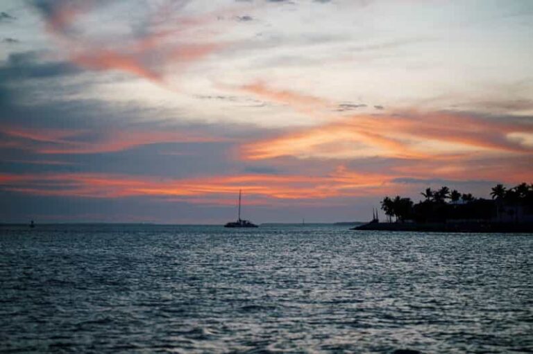 Captain's Choice: Dolphin Watch Sunset Sail - Who Will Love This Tour?