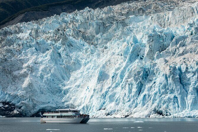 Captain's Choice Kenai Fjords National Park Tour from Seward - What the Reviews Say about the Experience