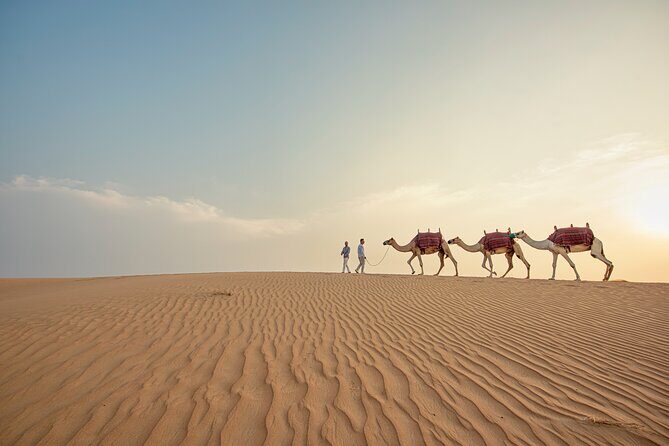 Caravanserai Exclusive Safari - Transportation, Timing, and Practical Details