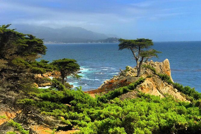 Carmel / Monterey Hwy 1 tour - What’s Included and What to Expect