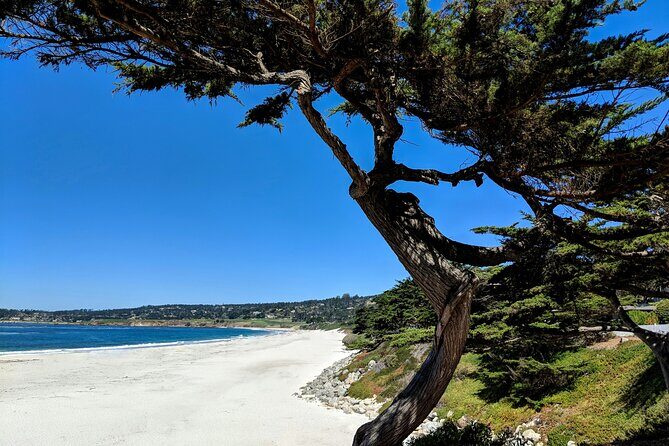 Carmels Hidden Gems Discovery Walk & Self-Guided Tour - Practical Considerations and Tips