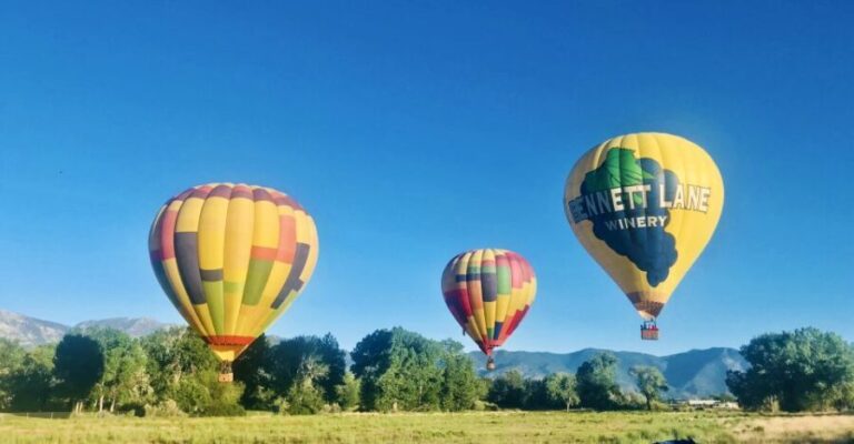 Carson City: Hot Air Balloon Flight - Who Is This Tour For?