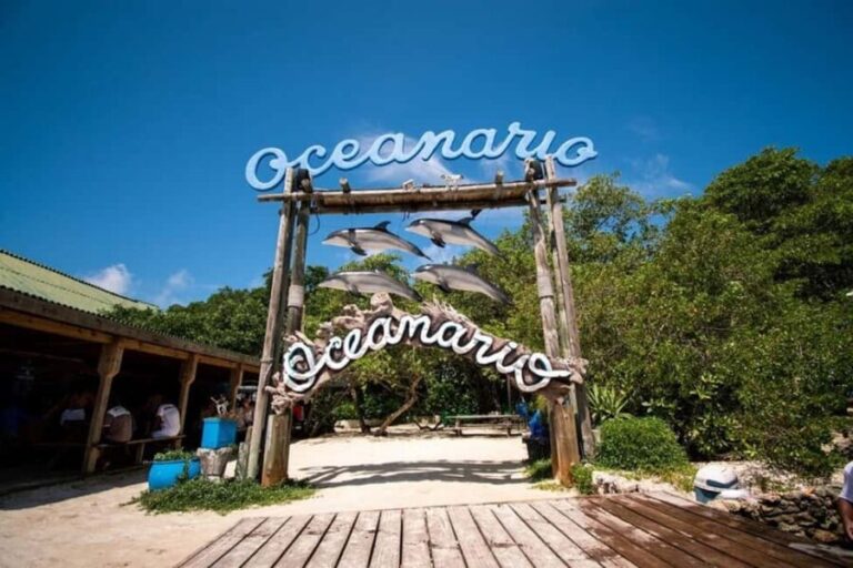 Cartagena: All-Inclusive Rosario Islands Speedboat Tour - An Honest Look at the Rosario Islands Speedboat Tour