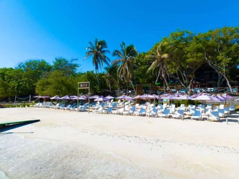 Cartagena: Rosario Island Beach Club Day Trip and OPEN BAR - Scenic Scenic Views and the Oceanarium