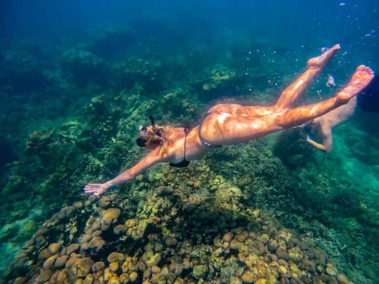 Cartagena: Rosario Islands Day Tour with Snorkel & Lunch - What’s Included and What’s Not