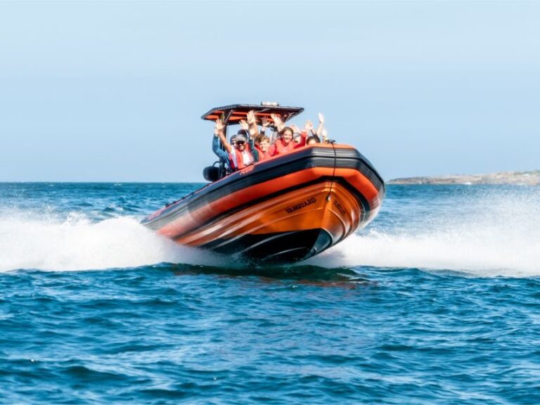 Cascais: Dolphin Watching Tour - The Itinerary and What You Can Expect