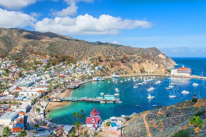 Catalina Island Avalon Highlights Walking Tour - What Travelers Say