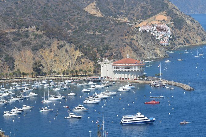 Catalina Island Day Trip from Anaheim Hotels with Discover Avalon Tour - Detailed Breakdown of the Itinerary