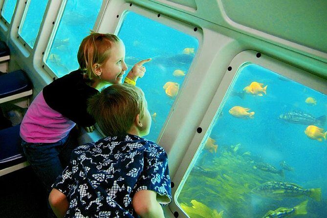 Catalina Island Day Trip from LAX area hotels with Undersea Adventure - Authenticity & Experience Quality