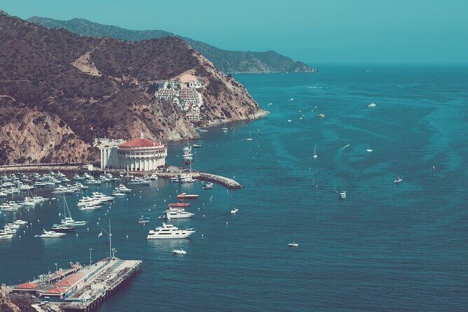 Catalina Island Ferry Avalon to Newport Beach - Authentic Traveler Perspectives