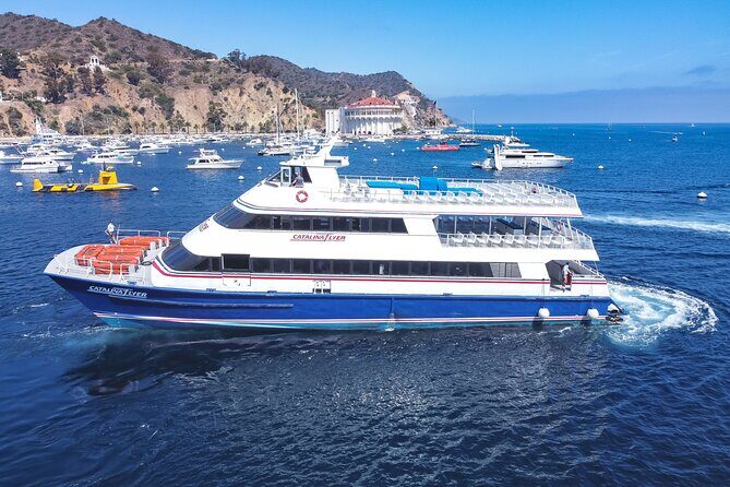 Catalina Island Ferry from Newport Beach to Avalon - Who Will Love This Ferry Experience?