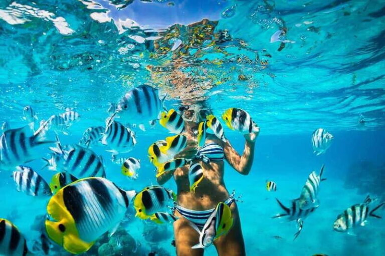 Catalina Island Full-Day Snorkeling + Lunch from Punta Cana - The Transportation and Timing