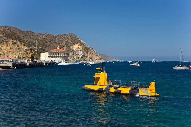 Catalina Island Trip with Hotel transfers & Optional tours - What Travelers Say: Authentic Perspectives