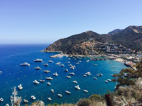 Catalina Island w/Discover Avalon Scenic Tour & Hotel transfers - What’s Included and What’s Not