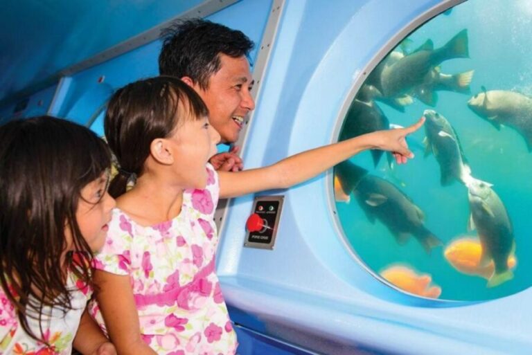 Catalina Island: Yellow Semi-Submarine Cruise - Logistics and Practicalities