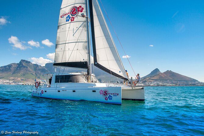 Catamaran Cruise and Sushi Experience in Cape Town - The Atmosphere and Experience