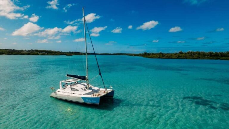Catamaran Cruise to île aux Cerfs w Dolphins watch & Lunch - Exploring the Grande Rivière South East Waterfall