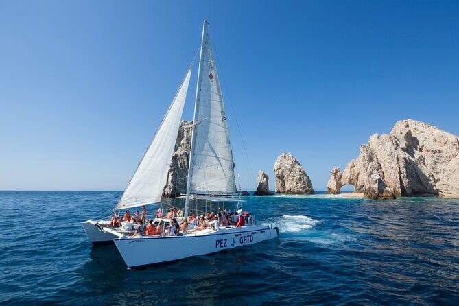 Catamaran Snorkel at Los Cabos! Gorgeous Snorkel & Party + Round Transportation - What to Expect from the Tour
