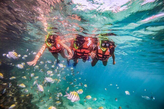CATAMARAN to Isla Mujeres, Snorkel & Beach Club by Xcaret - Authentic Experiences and Traveler Insights