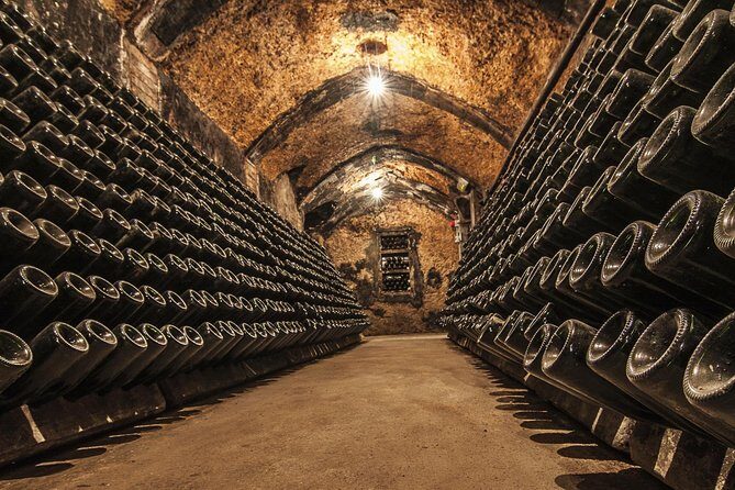 Cavas Freixenet Wine Tour from Mexico City - FAQs