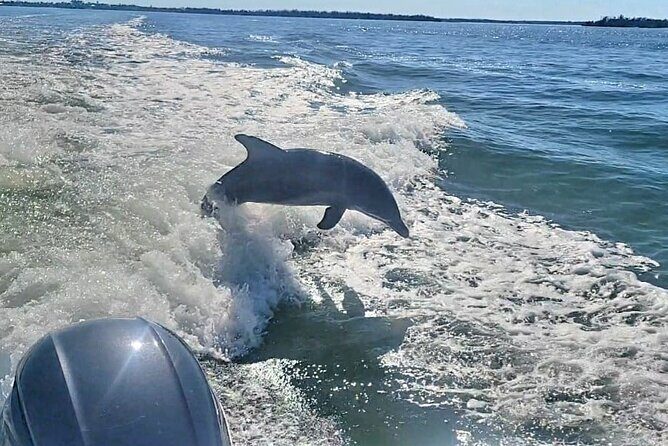 Cayo Costa Private Power Boat Experience - Who Will Love This Tour?