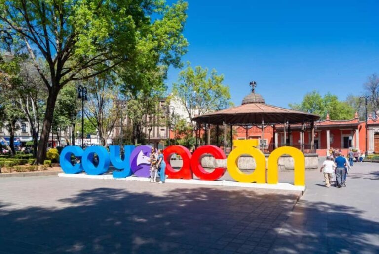 CDMX: Coyoacán, UNAM, Xochimilco, and optional Frida Kahlo Museum - Market and Cooperative Shop Visit