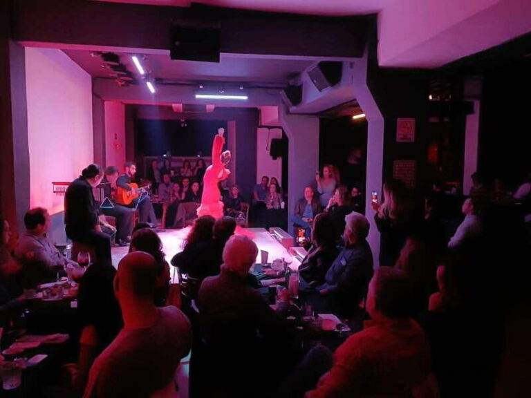 CDMX: Live Flamenco Show and Dinner - The Practicalities: Cost, Timing, and Logistics