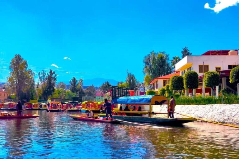 CDMX: Trajinera party in Xochimilco with tacos, music, and drinks - Onboard Experience: Drinks, Music, and Food