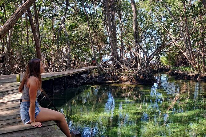 Celestun Beach and Mangrove Boat Ride from Merida - FAQs
